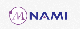 NANO AND ADVANCED MATERIALS INSTITUTE LIMITED